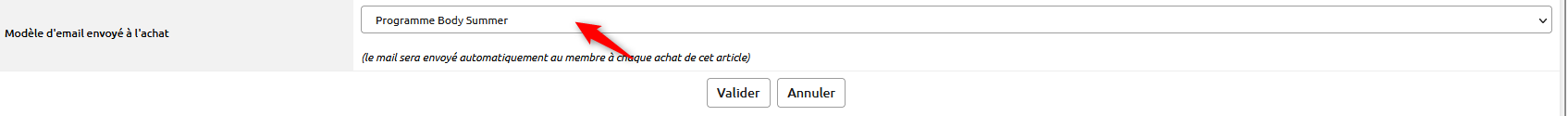 Body_Summer_s_lectionn__annot_.png