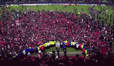 stade-rennais-ligue1.gif